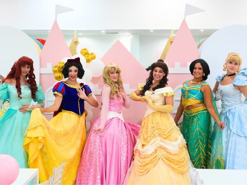 A Novel Princess Party - Image 1