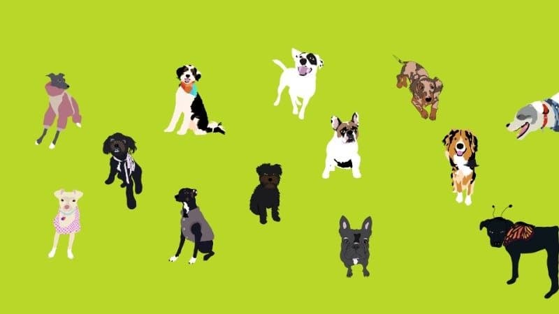 Illustration of costumed dogs for Woof-o-ween at Domino Park