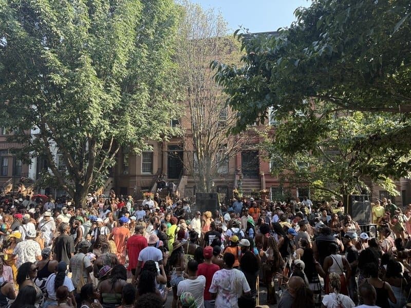 Crowd dancing in the street at a Bed Stuy block party, brownstones and trees behind