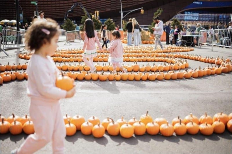 Children walk among rows of pumpkins in the urban pumpkin patch at Fall Fest outside Atlantic Terminal
