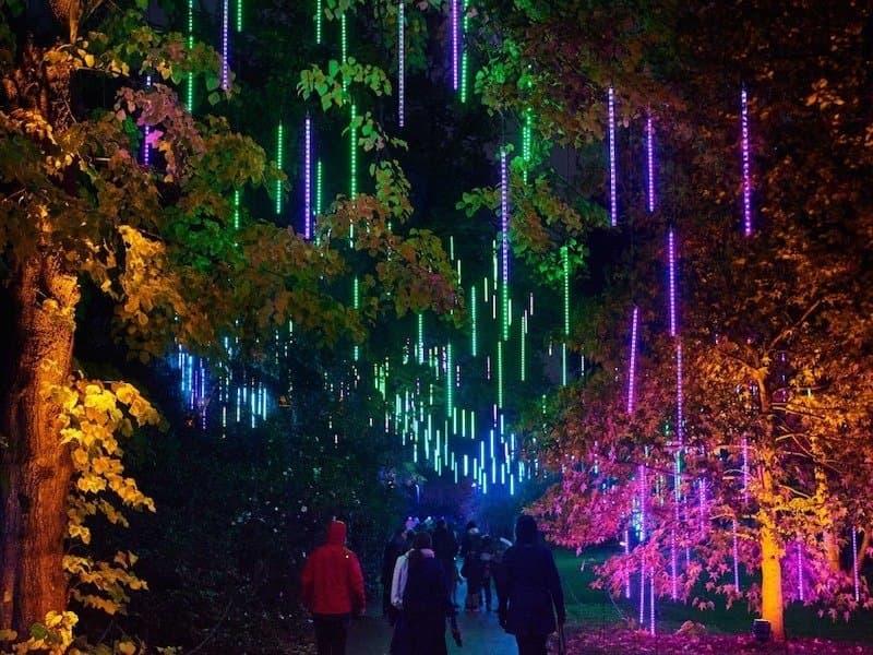 Lightscape at Brooklyn Botanic Garden