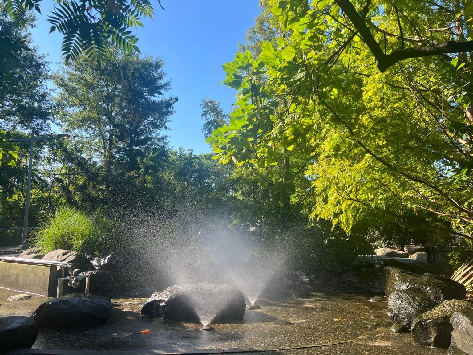 Things to do with kids during heat waves in Brooklyn