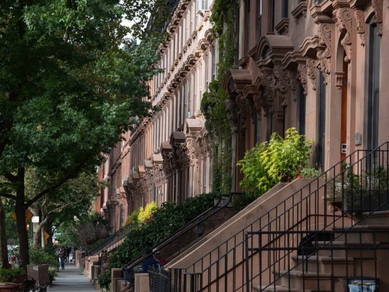 Living in Fort Greene – a neighborhood guide for families