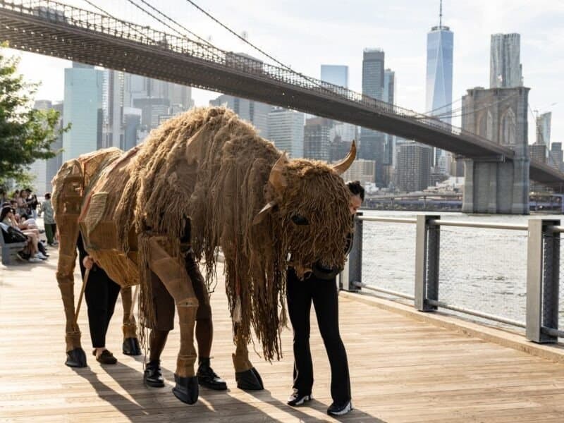 Return of the Buffalo: life-size buffalo puppets march through Brooklyn on Saturday, September 19