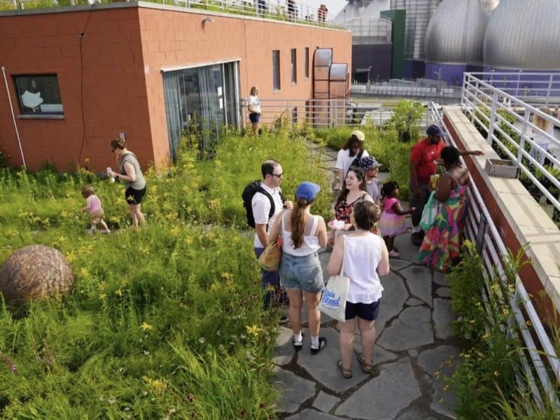 Free kid-friendly events this week in Brooklyn (7/27-8/2)